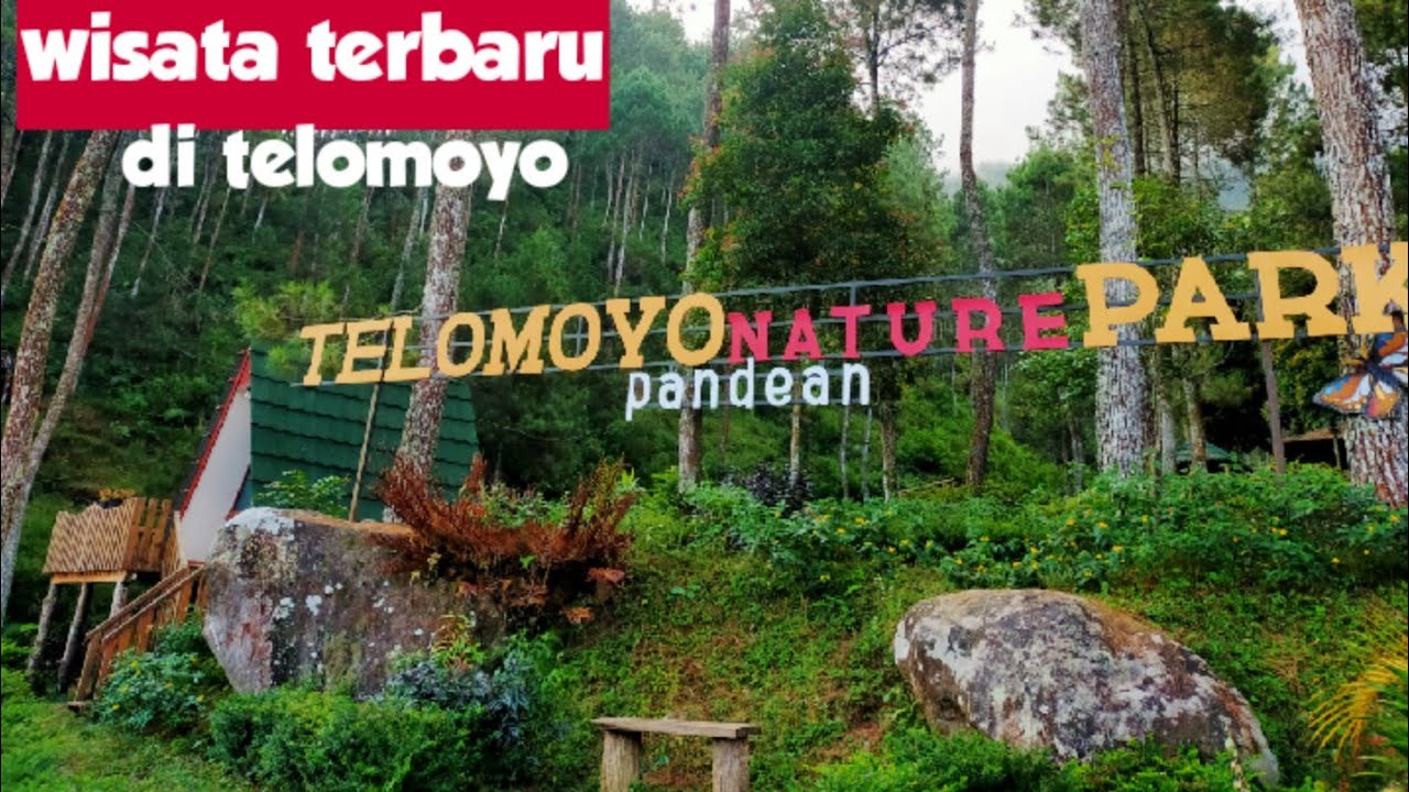 Telomoyo Nature Park: Pesona Alam di Lereng Gunung Merbabu